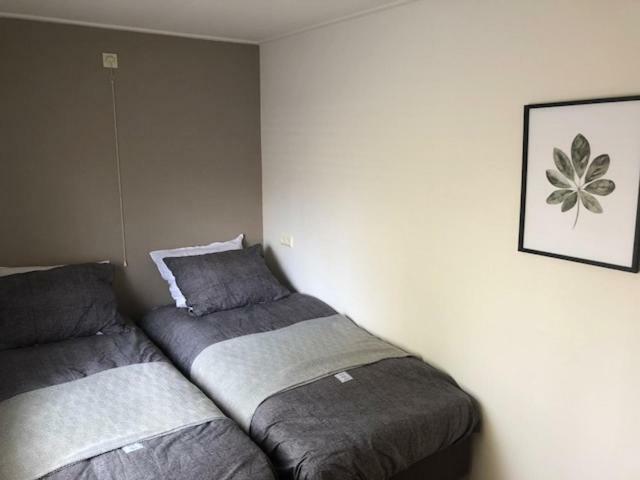 Bungalow De Groene Ster Villa Leeuwarden Dış mekan fotoğraf